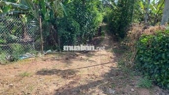 Đất nền full thổ 150m2 , đường 6m , chính chủ