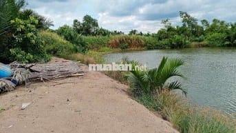 🔥 Đất lớn Cần Giờ 1.5ha (15.000m²), giá chỉ 800tr/1000m².