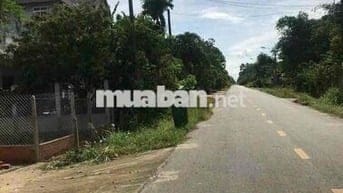 Bán đất mặt tiền đườn bến súc xã an phú củ chi có tổ cư