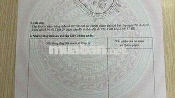 cần bán gấp lô đất xây biệt phủ phường xuân trường