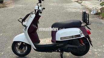 xe cuxi fi 86-B7 01547