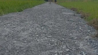 Bán 120m2 Thổ Cư , Xã Hoà Khánh Đông, Giá 650 triệu, Đức Hoà , Long An