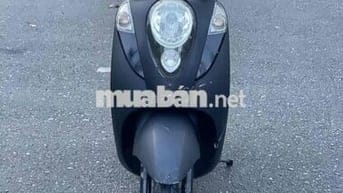 Cần bán xe 50 không cần bằng lái