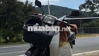 Bán chiến mã Super Dream mạnh mẽ, 12,5tr