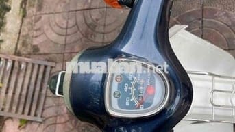 Honda Super Cub 50 màu xanh dương