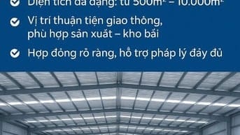Cho thuê nhà xưởng đường Trần văn Mười - 1500m - đường cont giá 55tr.