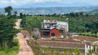 Đất Ven Đà Lạt Giá Chỉ 520 Triệu, SHR, View đồi Thông Mát Mẻ