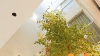 Bán nhà 5 tầng phố Liễu Giai, 80m2, ô tô tránh, phân lô, ở luôn