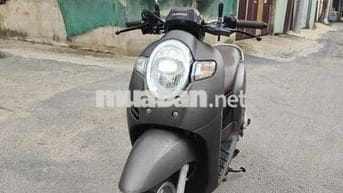 scoopy đẹp keng không trầy xước biển đẹp