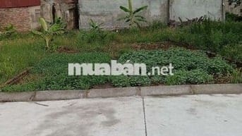 Bán Đất - Bắc Thượng(Quang Tiến -SS) - 90M2 Full Thổ Cư - 2,4Tỷ