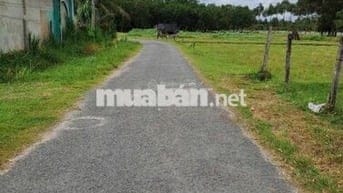 Bán đất 288m2 tại An Tịnh, Trảng Bàng, Tây Ninh, sổ riêng, 520 triệu