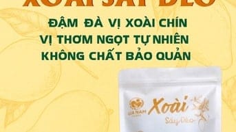XOÀI SẤY DẺO GIA NAM FOODS - VỊ THƠM NGỌT, DẺO MỀM HẤP DẪN