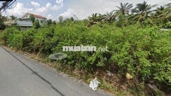 CƠ HỘI VÀNG: ĐẤT THỔ CƯ 90M² TP MỸ THO – GIÁ CHỈ BẰNG 1 CHIẾC XE HƠI!