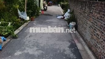 Bán đất Ngọc Động Đa Tốn - Ô tô đỗ cửa,hàng xóm Ocean Part 1 .