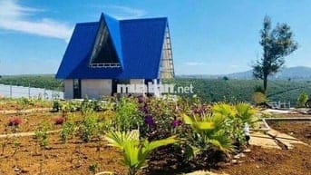 Tôi Chính Chủ Bán 5 lô đất. Xã lộc ngãi. Bảo Lộc