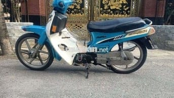 Maxx Thai 50 gtdd
