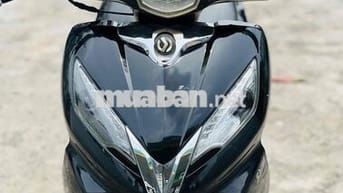 SYM shark biển 71