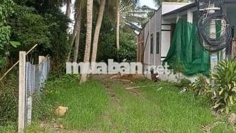 Bán 3 công đất mặt tiền QL53 giá thương lượng