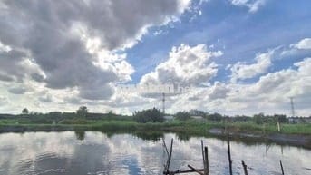 LÔ ĐẤT LÚA NGAY HẺM 1697 LÊ VĂN LƯƠNG NHƠN ĐỨC NHÀ BÈ.