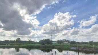 LÔ ĐẤT LÚA NGAY HẺM 1697 LÊ VĂN LƯƠNG NHƠN ĐỨC NHÀ BÈ.