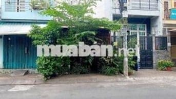 Bán nhà 237b trần thủ độ   phường phú thạnh 4,3 x 19, cấp 4, giá 9.9ty