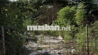 chính chủ ra đi đất dt 81,5m2 giá 975tr Tân Phú
