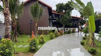 Tìm về bình yên tại miếng vườn của e nha