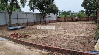 Bán Đất - Thái Lai(Minh Trí) - 358M2  - 2,4Tỷ - Đường thông Ô Tô