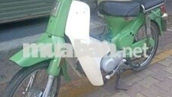 Honda Cub 50 dọn kiểng cà phê cổ còn tin là còn xe