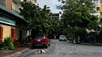 BÁN NHÀ NGÕ 102 TRƯỜNG CHINH, PHƯƠNG MAI, ĐỐNG ĐA HÀ NỘI