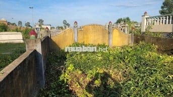Cần bán 100m2 đất nghĩa trang Hòa Khương