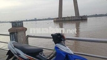 Bán xipo có gốc giấy zin