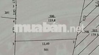Bán lô kiệt Hòa Xuân gần Chợ Đầu Mối và bến xe Đức Long Đà Nẵng