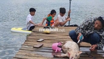BÁN KHU DU LỊCH CÓ VIEW ĐẸP CỰC HIẾM - NHÌN LÀ MÊ !