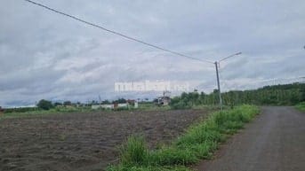 BÁN SỈ 5 LÔ ĐẤT NGỘP – XÃ TÂN TIẾN, MẶT NHỰA, QL14C, NGAY TTHC