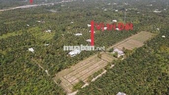 Lô Đất Gần Đường Cầu Rạch Miễu 2 - Cơ hội đầu tư khi thông xe