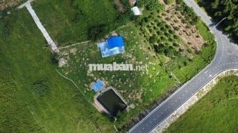 Đất nền 3500m2 tại 601, Hòa Bắc, Hòa Vang, Đà Nẵng, chỉ với 7,5 tỷ VND