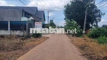 ĐẤT RẺ _GIÁ ĐẦU TƯ_ PHƯỜNG BÌNH LỘC _LONG KHÁNH