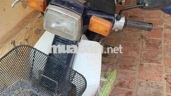 xe cub 82 hơi 50 không cần bằng lái