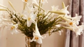 Cho thuê nhà tập thể 2 tầng ngay Bờ Hồ