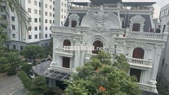 Bán biệt thự Việt Hưng, hoàn thiện siêu đẹp 190m2 vị trí vip, giá rẻ