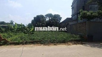 Bán Đất - Thắng Trí(Minh Trí) - 108M2 Full Thổ Cư - 2,45 Tỷ - Trục KD