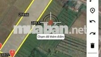 Bán đất Ấp Vĩnh An, Ninh Hòa, Hồng Dân, Bạc Liêu - 10 công