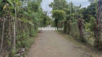 Phú Vinh - Định Quán - Đồng Nai
-Diện tích 3000m2 có 300m2 thổ cư
