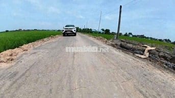 Chính Chủ Bấn Đất Cần Đước Giá Cực Rẻ (Giá 100%)