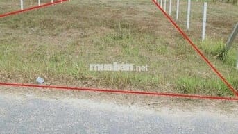 Bán đất ngay chợ Suối Sâu,An Tịnh,Trảng Bàng 410m2 7x55 giá 750tr, SHR