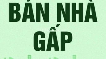 Cần bán nhà hẻm xe hơi, đường Phạm Thế Hiển, P.6, Q.8, vị trí đẹp