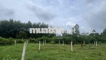 Đất KCN Phước Đông cachd DT782 50m