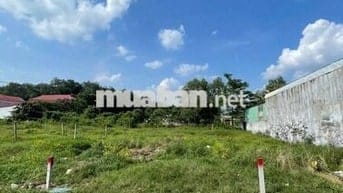 Đất MT nhựa 163m2 Nguyễn Kim Cương Tân Thạnh Đông bán nhanh giá tốt