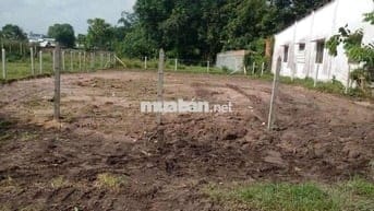 Mua nhanh bán nhanh cần tiền hạ giá bán gấp 302m2 giá 480tr
